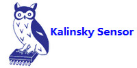 供應Kalinsky壓力變送器